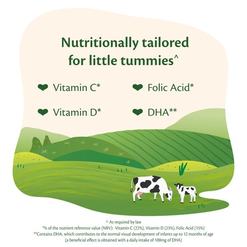 HiPP Organic 2 Follow on Baby Milk Powder Formula From 6 Months 