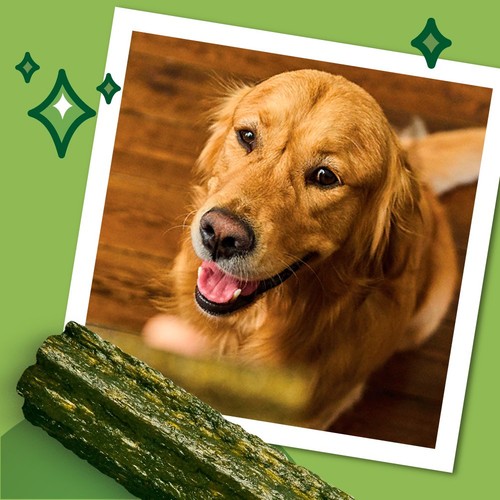 Lily's Kitchen Woofbrush Gut Health Medium Dog Multipack