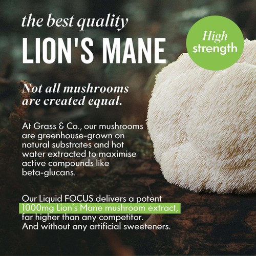 Grass & Co. Liquid FOCUS Lion's Mane Nootropic Drink 