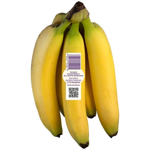 Ocado Rainforest Alliance Bananas