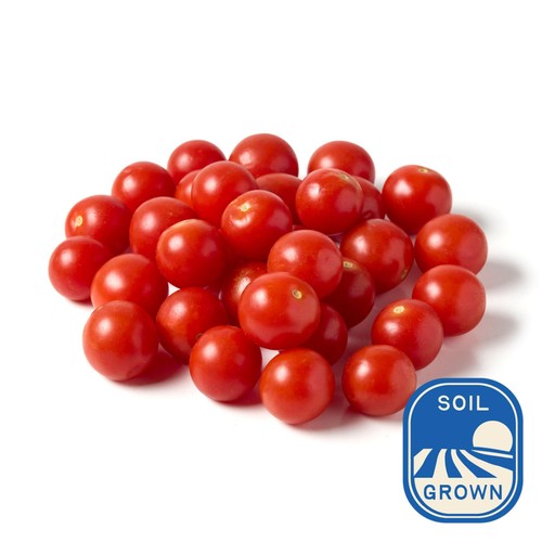 Natoora Sicilian Cherry Vine Ripened Tomatoes