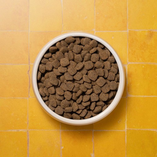 Pooch & Mutt Senior Complete Grain Free Superfood