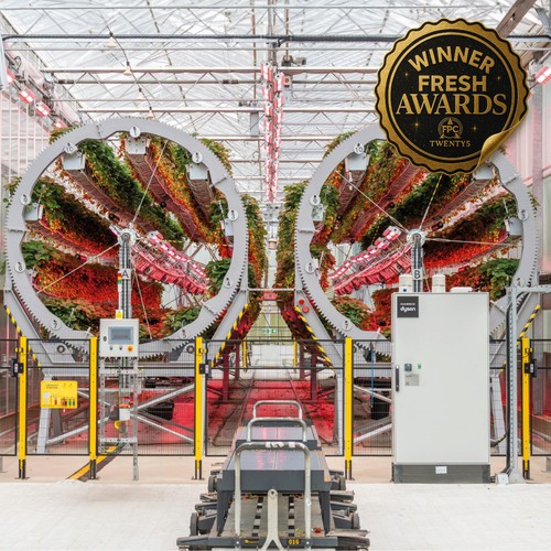 Dyson Farming British Strawberries