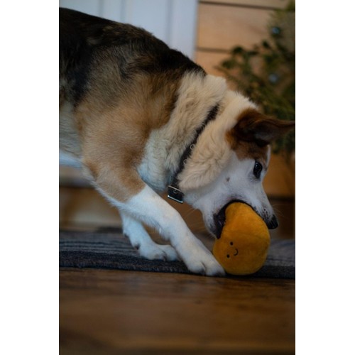 Petface Foodie Face Satsuma Plush Dog Toy