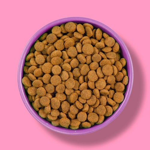 Wagg Wheat Free Dog Chicken & Rice