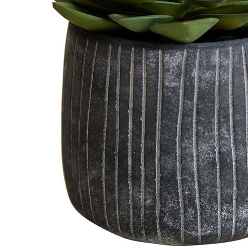 M&S Succulent in Ridged Cement Pot, Green