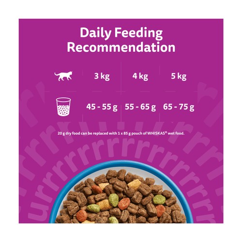 Whiskas 1+ Adult Dry Cat Food with Tuna