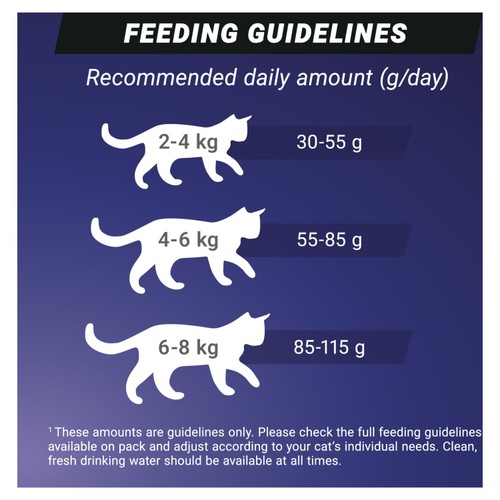 Purina One High Protein Salmon Dry Cat Food
