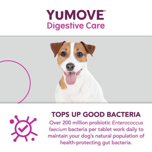 YuMOVE Dog Digestive Health Probiotics Supplement