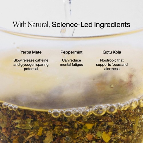 MISSION Focus Yerba Mate Tea Bags with Peppermint + Liquorice