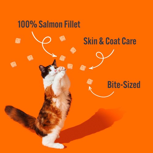 HiLife Salmon Freeze Dried Treats