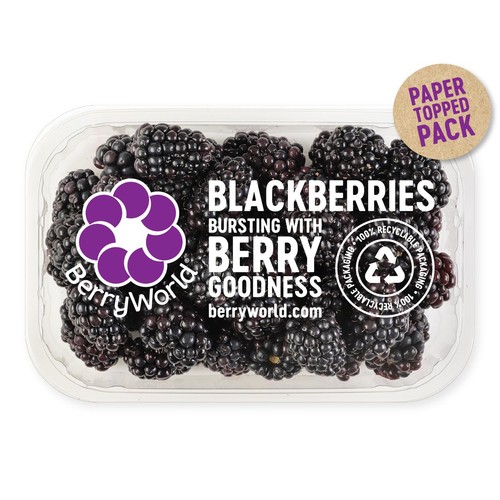 BerryWorld Blackberries