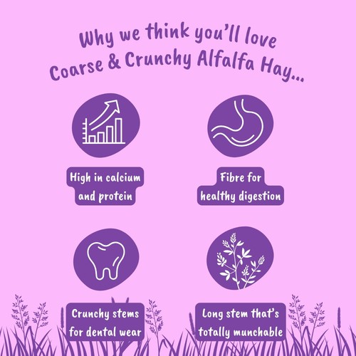 HayDay Coarse & Crunchy Alfalfa Hay
