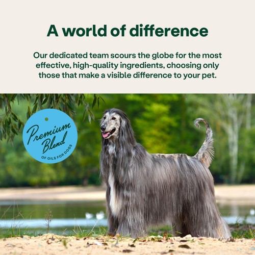 YuMOVE Skin & Coat Support for Itching Dogs