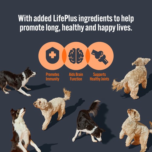 HiLife It's Only Natural Complete Wet Dog Food - The Marketplace One