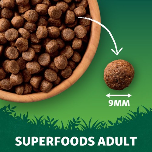 Harringtons Adult Grain Free with Superfoods Dry Dog Food Turkey
