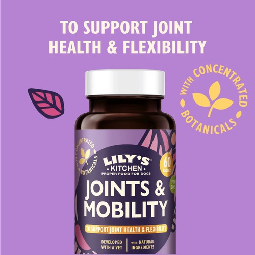 Lily's Kitchen Joints & Mobility Supplement for Dogs