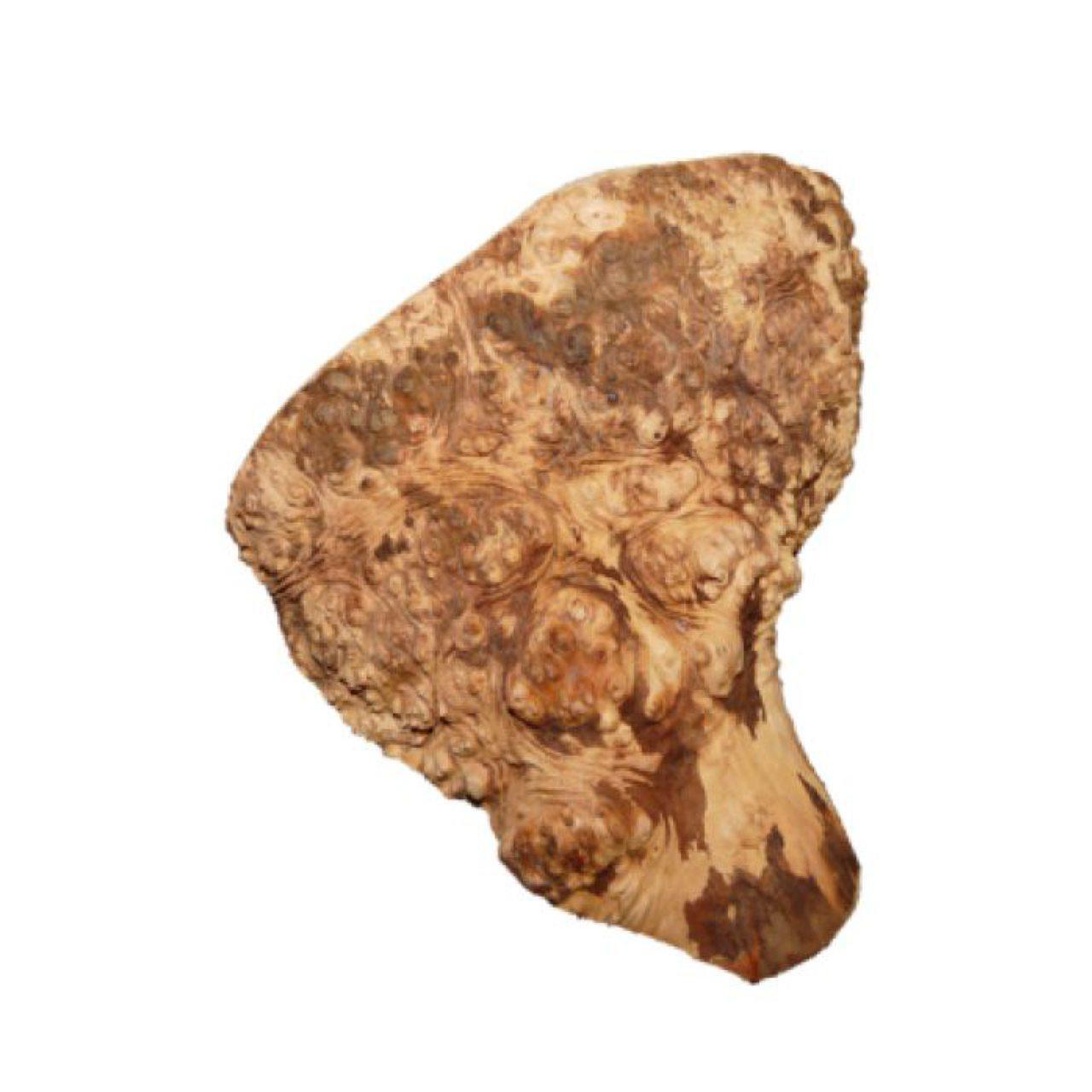 An image of Anco Roots Medium