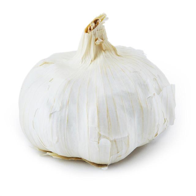 Natoora Large Spanish Garlic, One Size