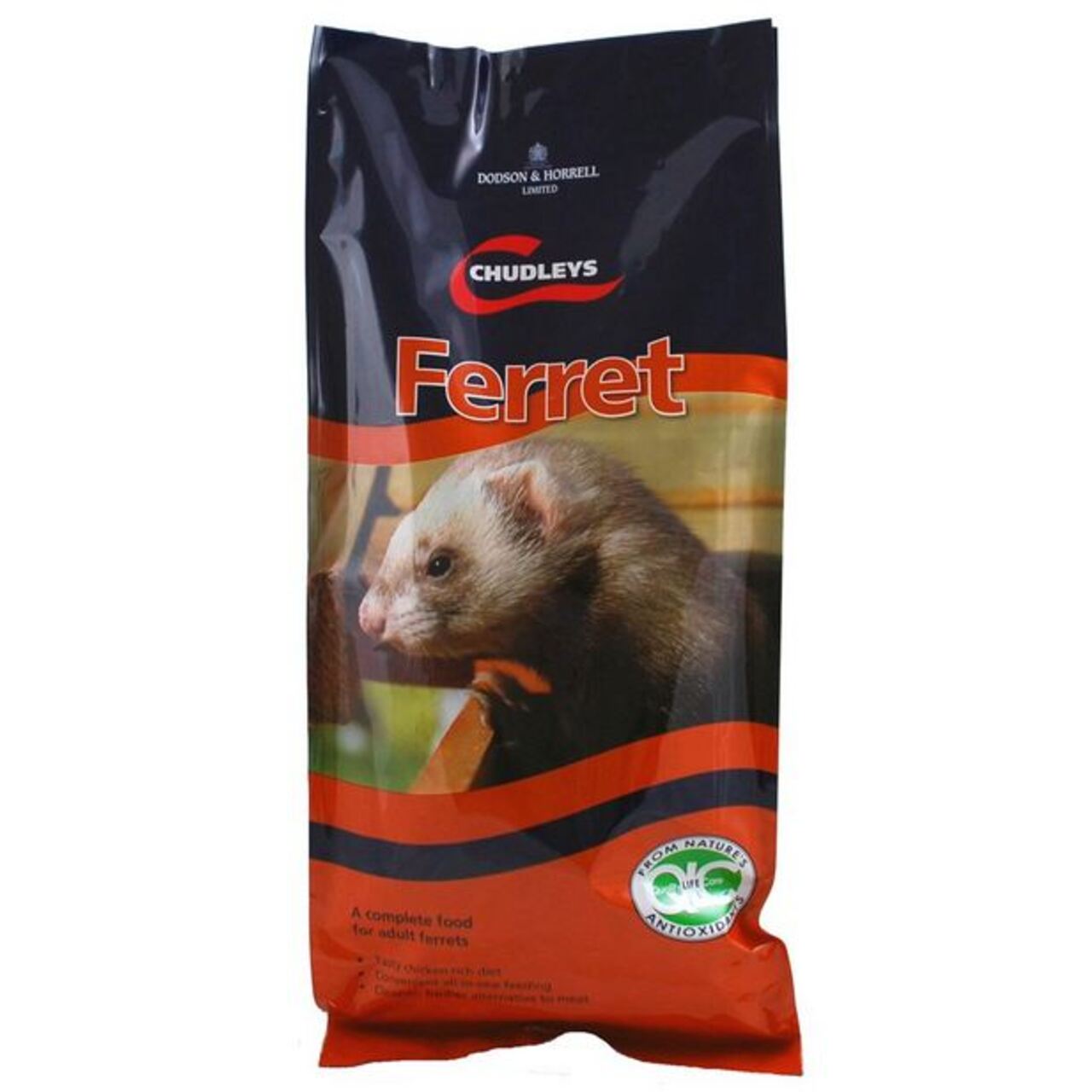 An image of Chudleys Ferret