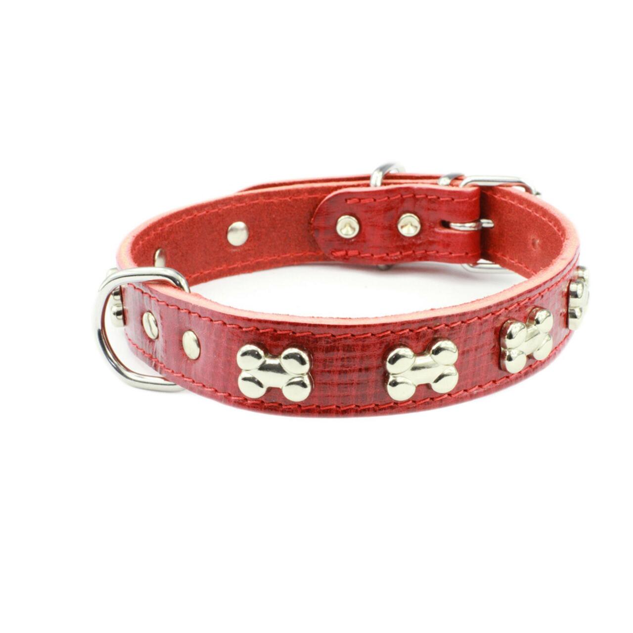 An image of Earthbound Bone Red Collar 43 - 51cm