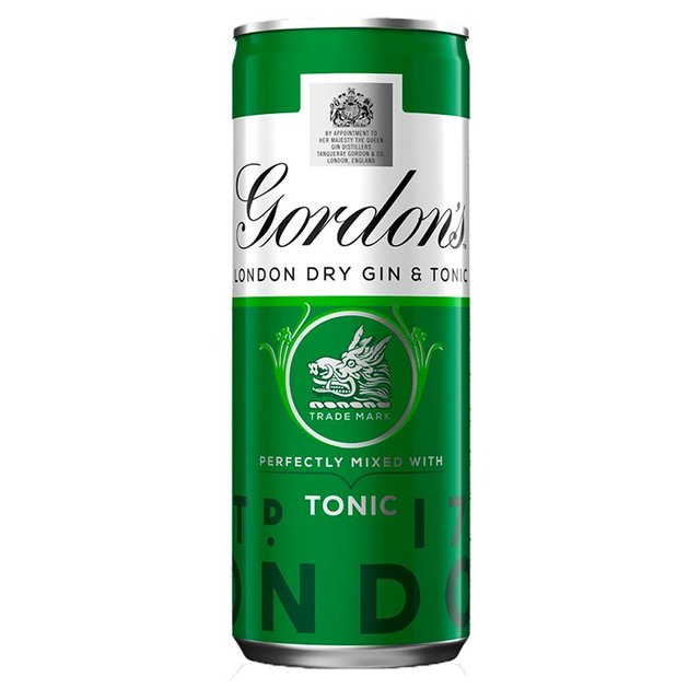Gordon’s Refreshing 250ml Gin & Tonic