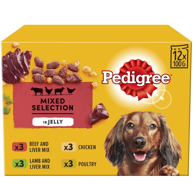 Pedigree Senior Wet Dog Food Pouches Mixed in Jelly, 12 x 100g
