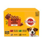 Pedigree Adult Wet Dog Food Pouches Mixed in Jelly