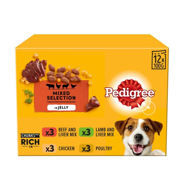 Pedigree Adult Wet Dog Food Pouches Mixed in Jelly, 12 x 100g