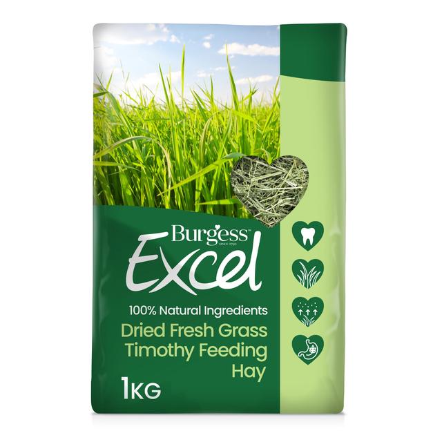 Burgess Excel Feeding Hay Dried Fresh Grass, 1kg