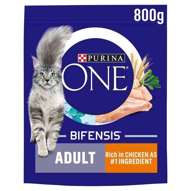 Purina ONE Adult Cat Chicken & Whole Grains, 800g