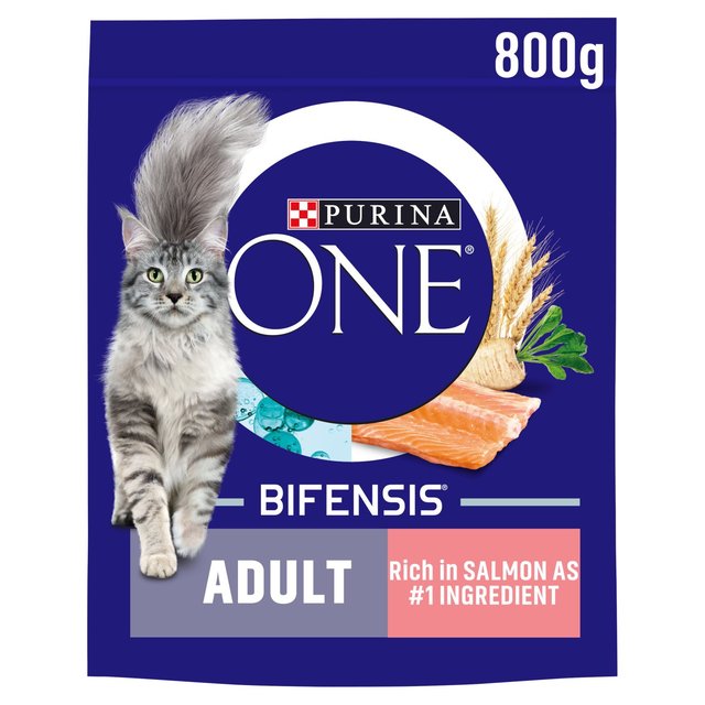 Purina ONE Adult Dry Cat Food Salmon and Wholegrain, 800g