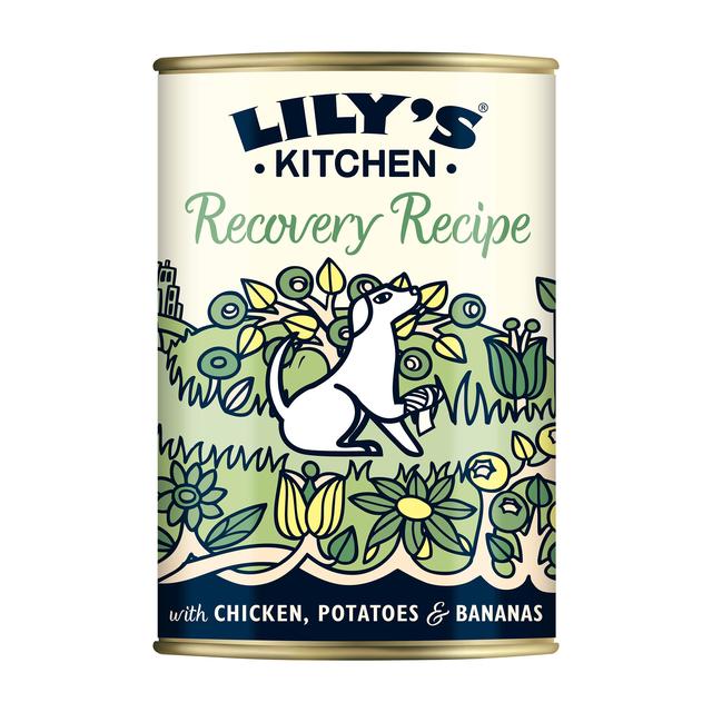 Lily’s Kitchen Recovery Recipe for Dogs, 400g