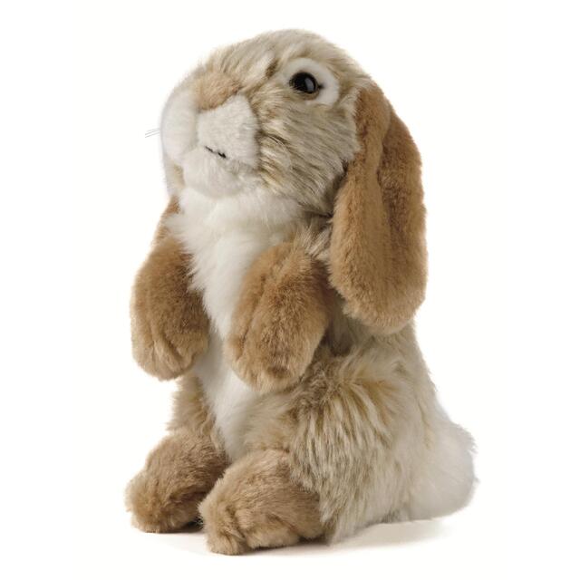 living nature lop eared rabbit