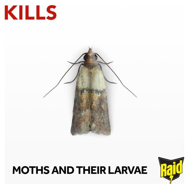 Raid Moth Paper | Ocado