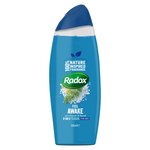 Radox Feel Awake for Men 2in1 Shower Gel