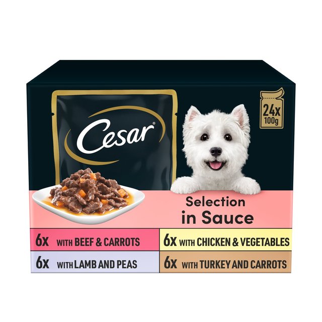 Cesar Deliciously Fresh Dog Food Pouches Favourites in Sauce, 24 x 100g