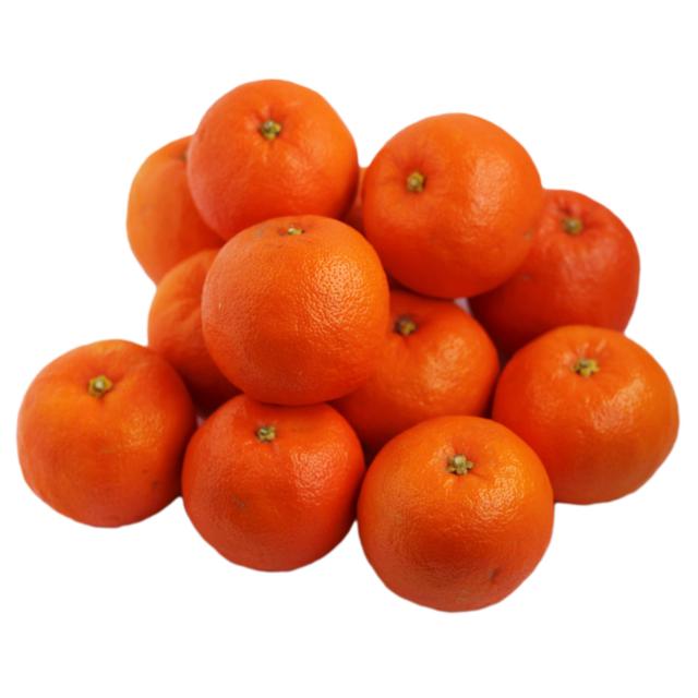 Wholegood Organic Seville Oranges for Marmalade, Size: 1.5kg