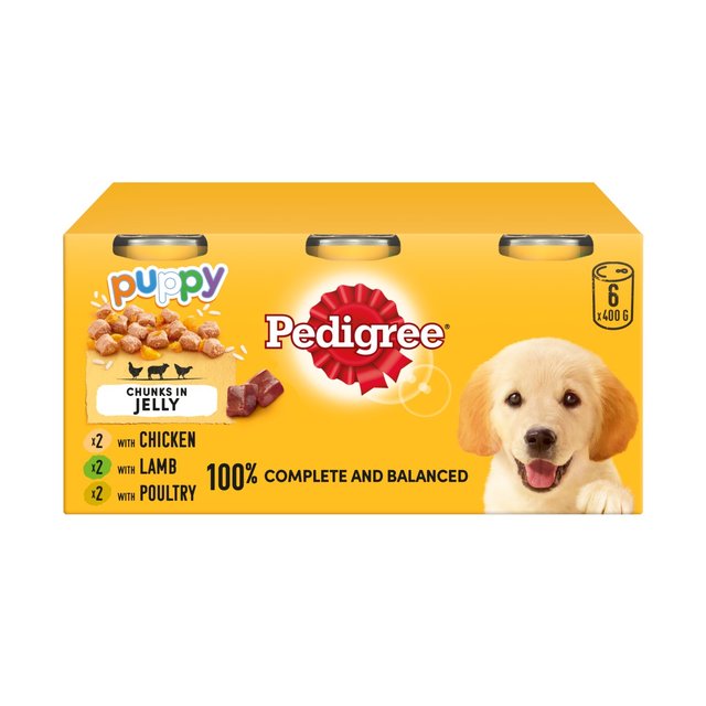Pedigree Puppy Wet Dog Food Tins Mixed in Jelly, 6 x 400g