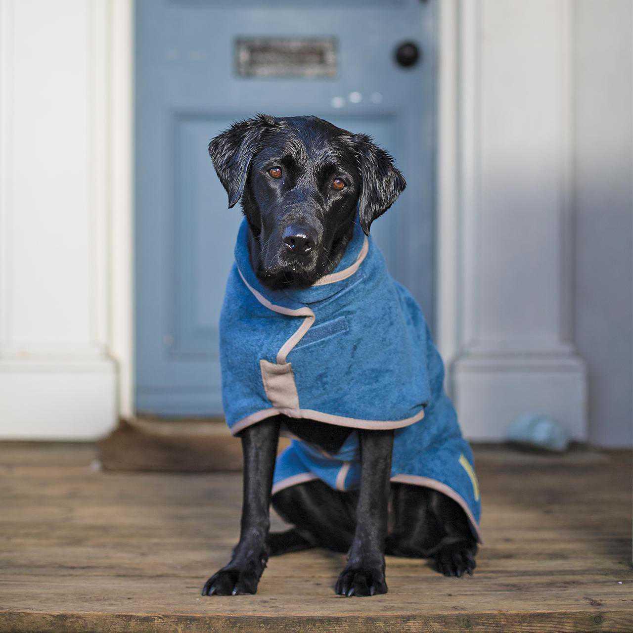 An image of Ruff And Tumble Dog Drying Coat Blue Extra Large