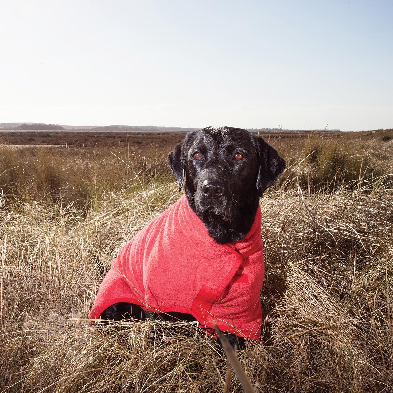 An image of Ruff And Tumble Dog Drying Coat Red Large