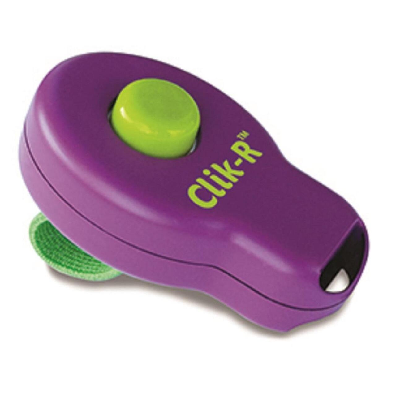 An image of PetSafe Clik-R Training Tool