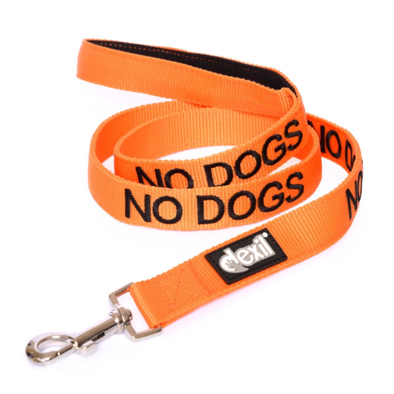 An image of Friendly Dog Collars No Dogs Lead