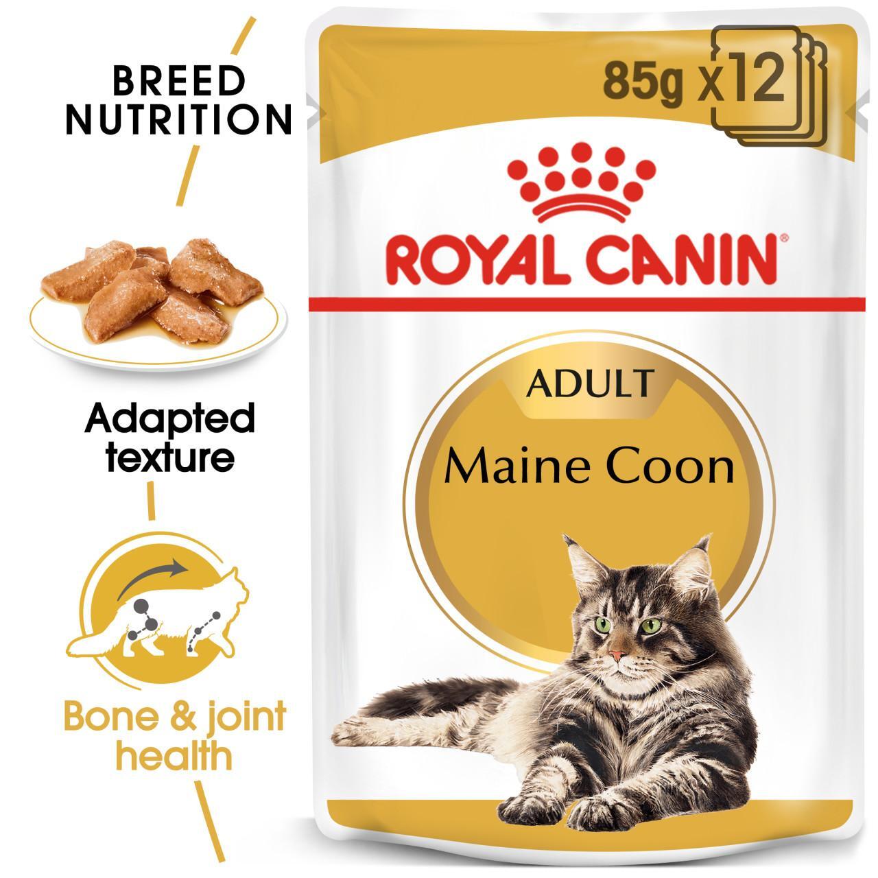 An image of Royal Canin Maine Coon Pouches