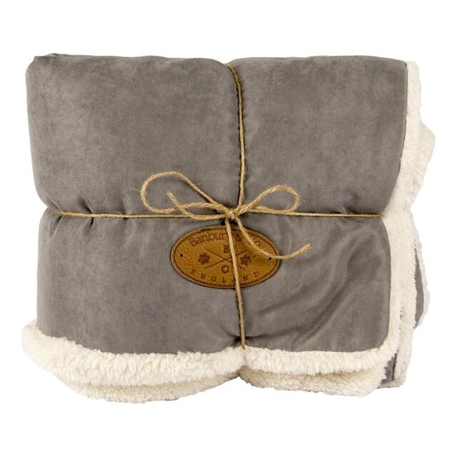 Banbury Co Comfort Dog Blanket Ocado