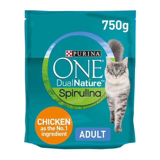 purina one dry cat food