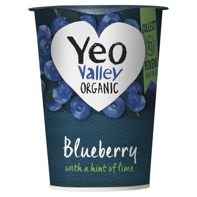 Yeo Valley Organic Blueberry Yoghurt With a Hint of Lime, 450g