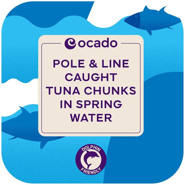 Ocado Tuna Chunks in Spring Water, 4 x 160g