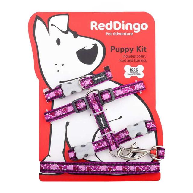 Red Dingo Harness Size Chart