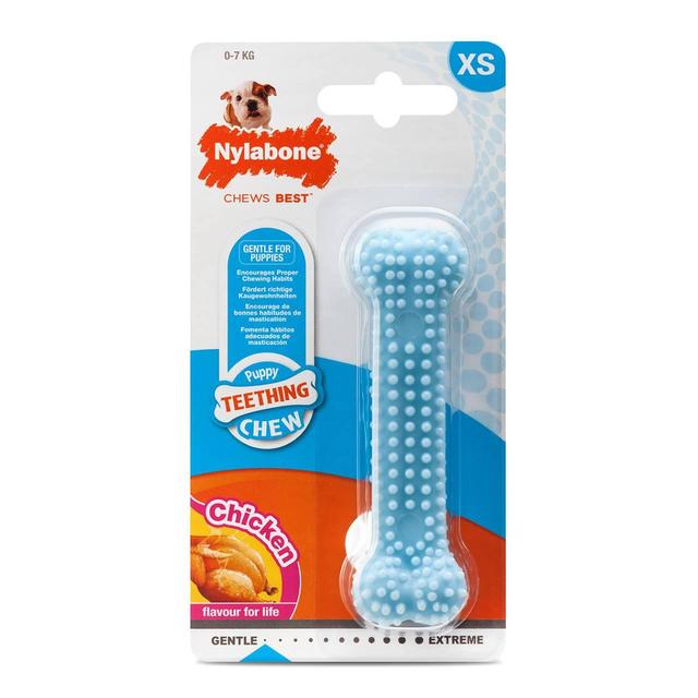 Nylabone Puppy Teething Dental Chicken Blue XSmall Dog Toy, Small